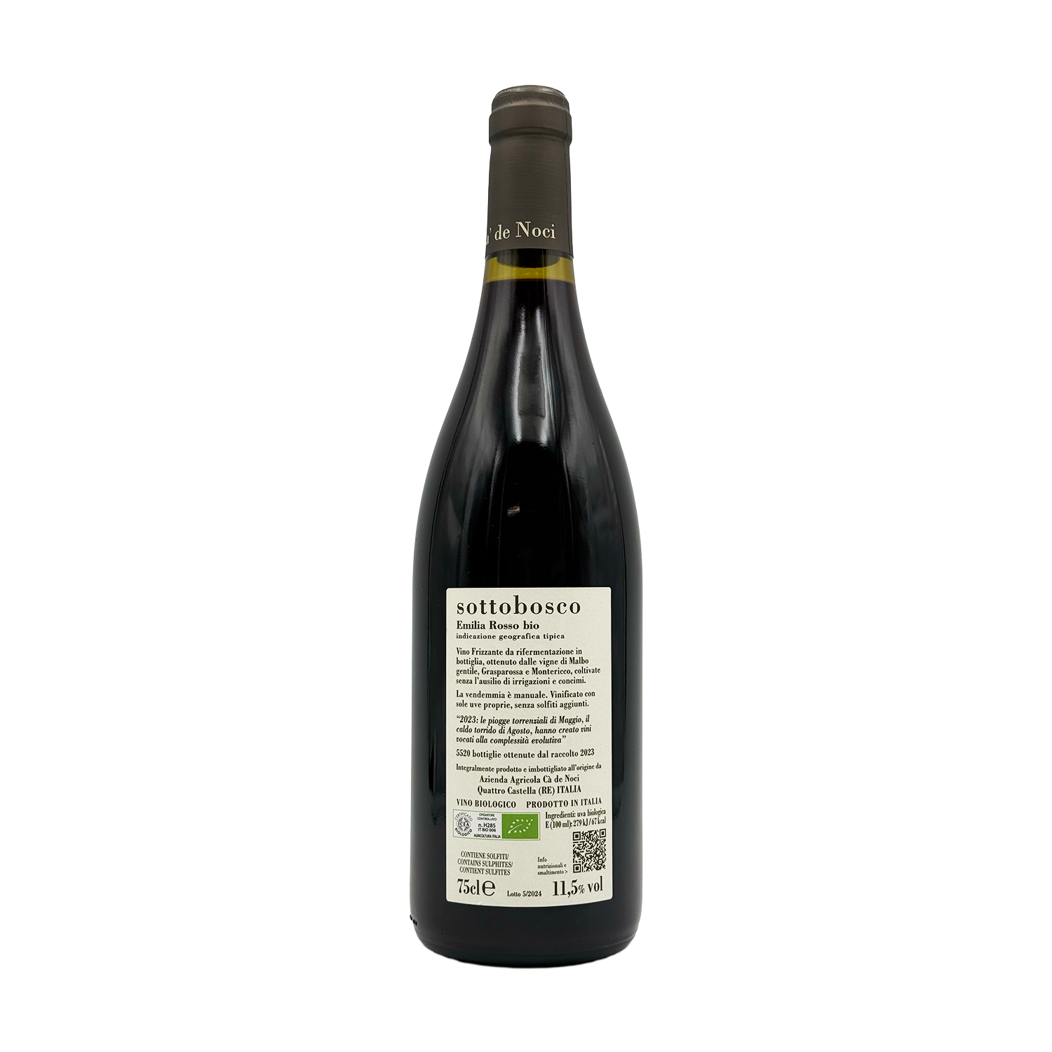 Ca' de Noci - Sottobosco - 2023