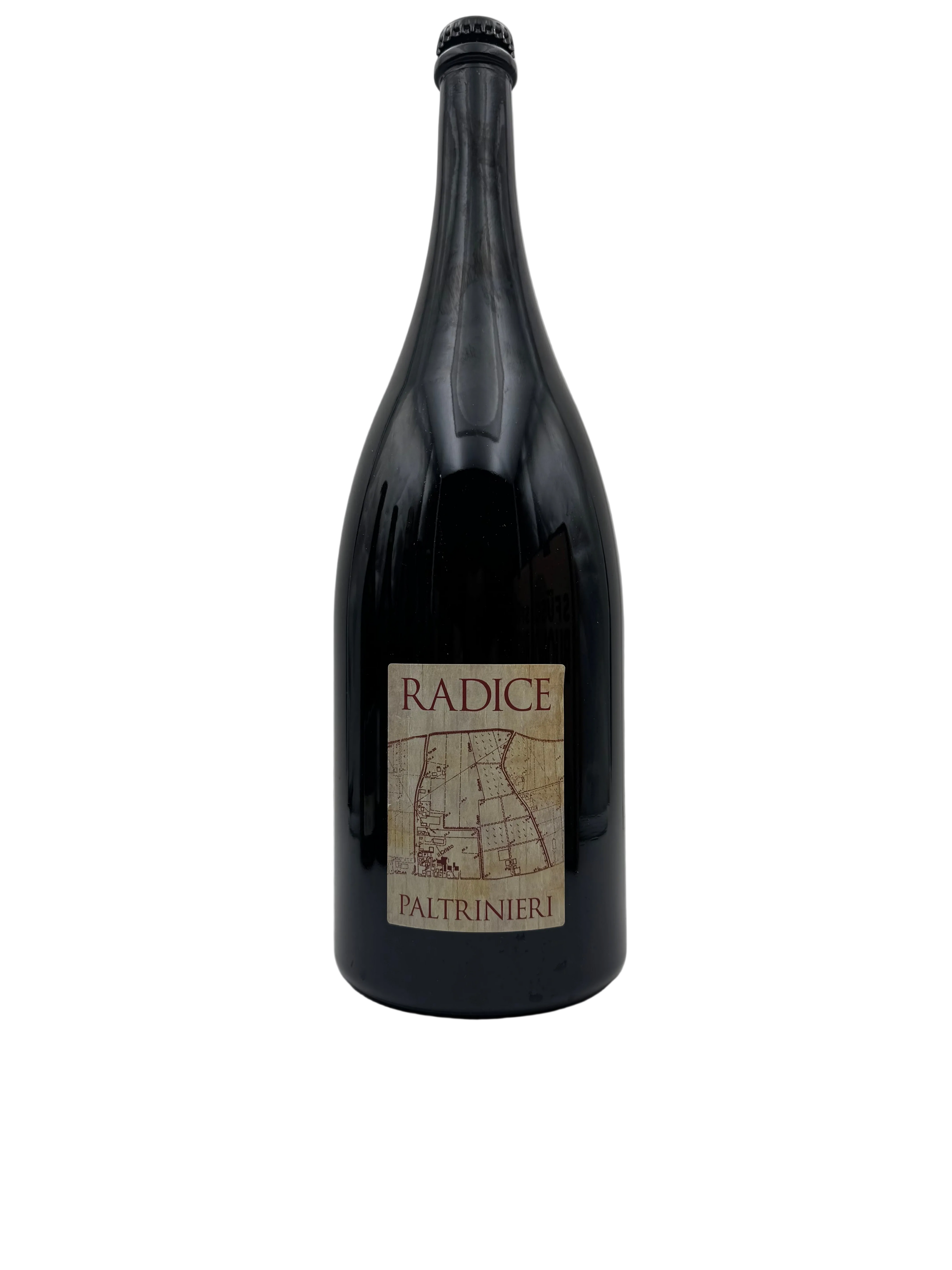 2025 - Paltrinieri - Radice - Magnum
