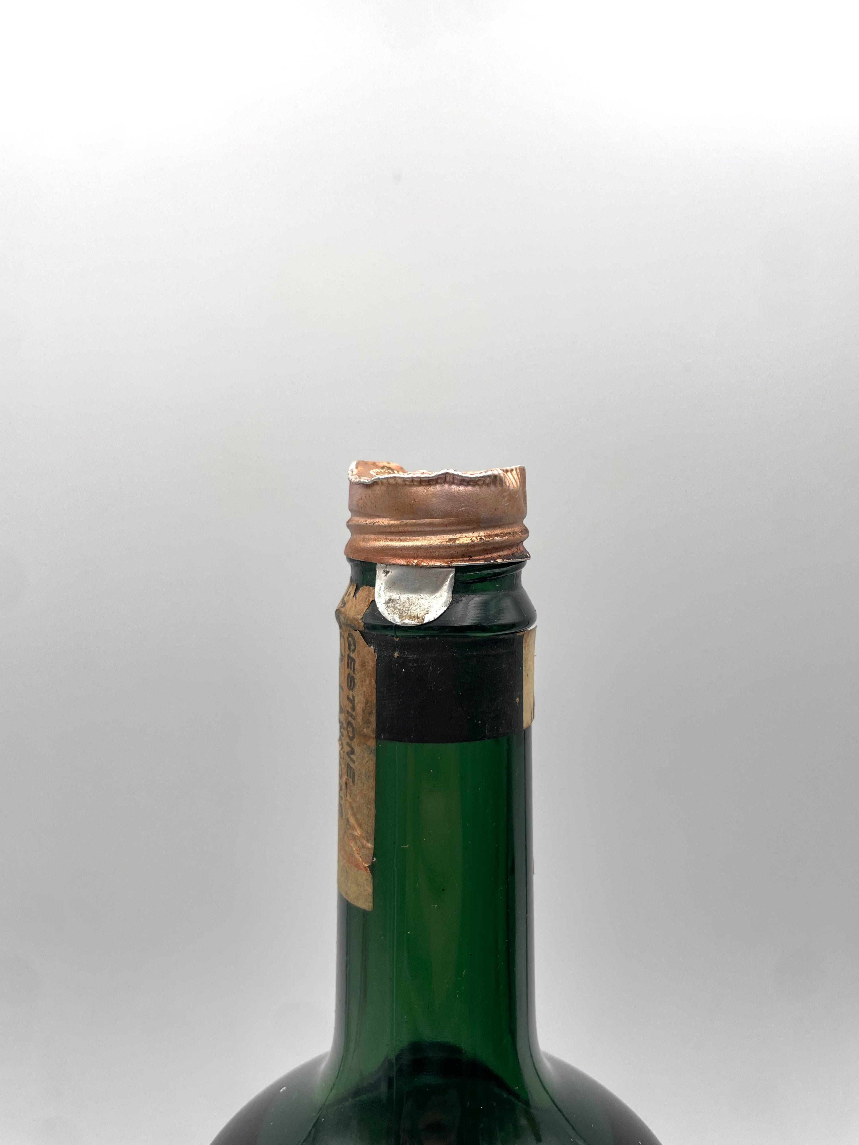 Sarti - Apricot - Stella Seal 1950s