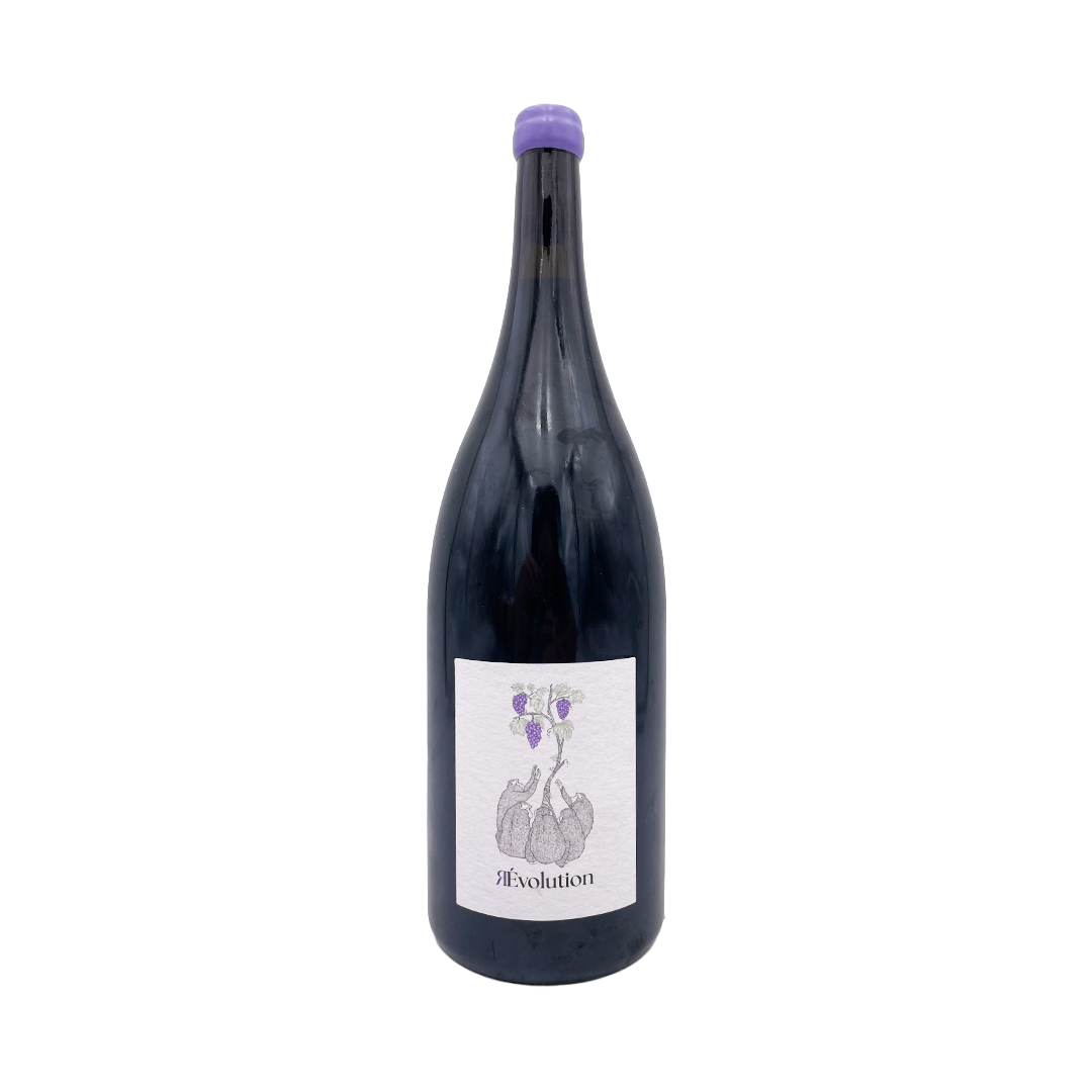 Oenosapiens - Revolution - 2023 - Magnum